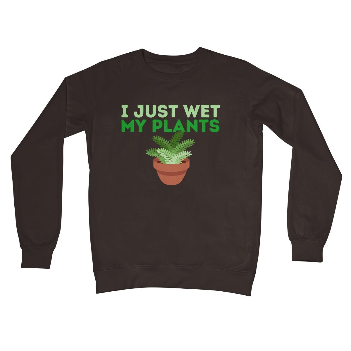 I just wet my plants jumper brown