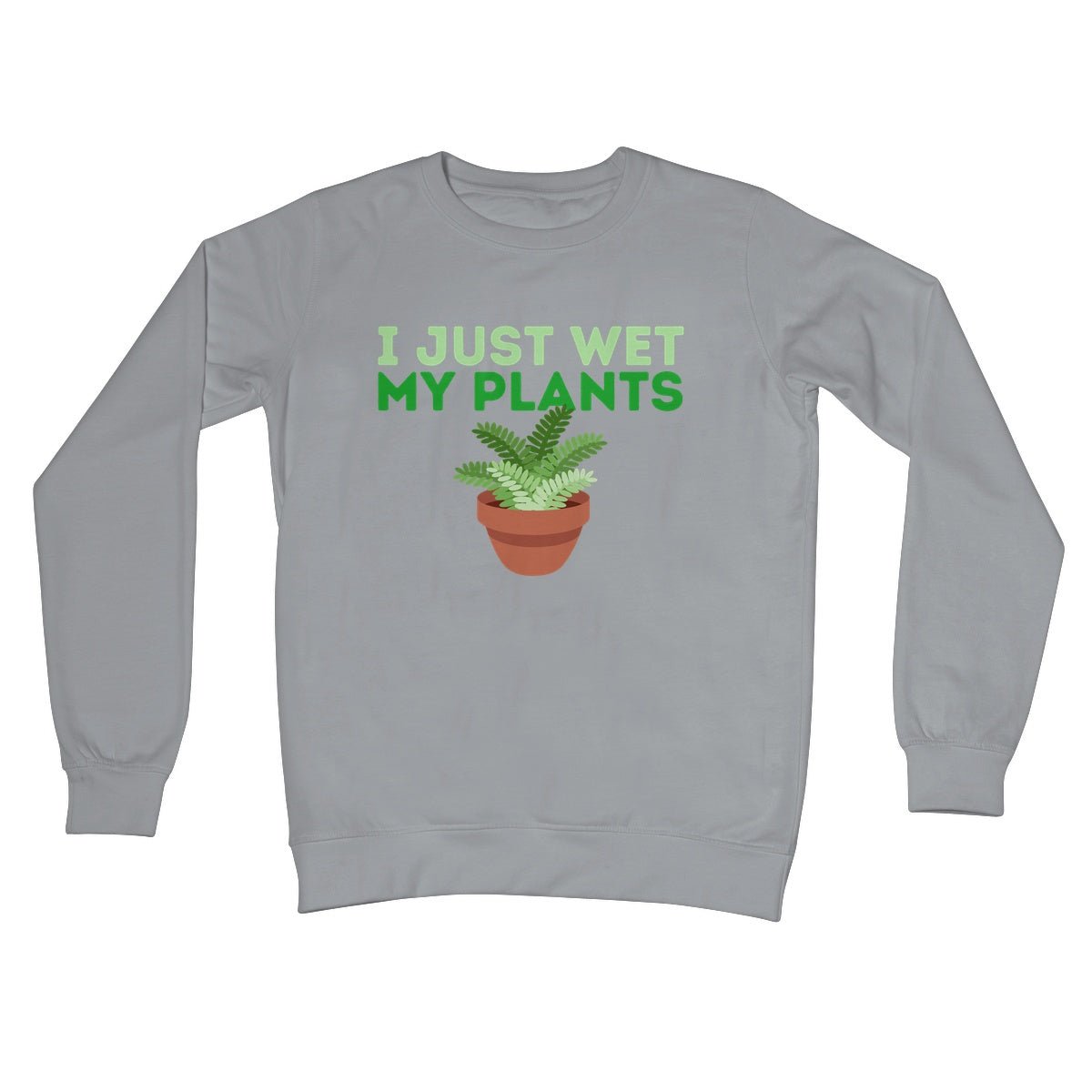 I just wet my plants jumper grey