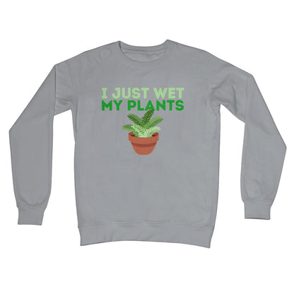 I just wet my plants jumper grey