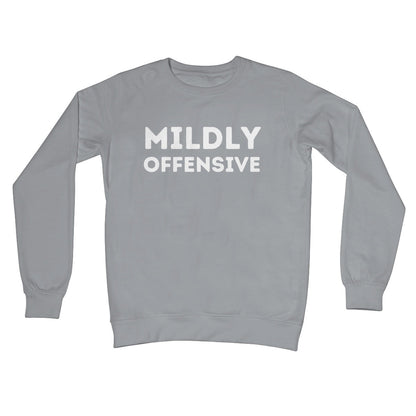 mildly offensive jumper grey