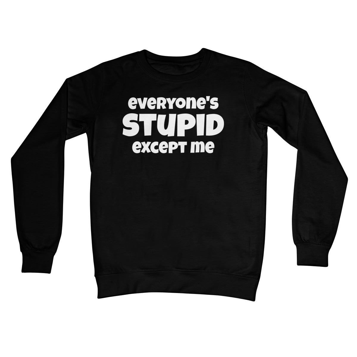Everyone's Stupid Except Me Jumper - Jet Black - Funny Jumper