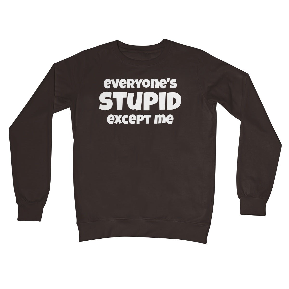 Everyone's Stupid Except Me Jumper - Hot Chocolate - Funny Jumper