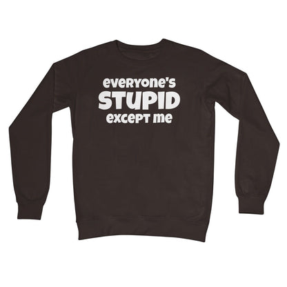 Everyone's Stupid Except Me Jumper - Hot Chocolate - Funny Jumper