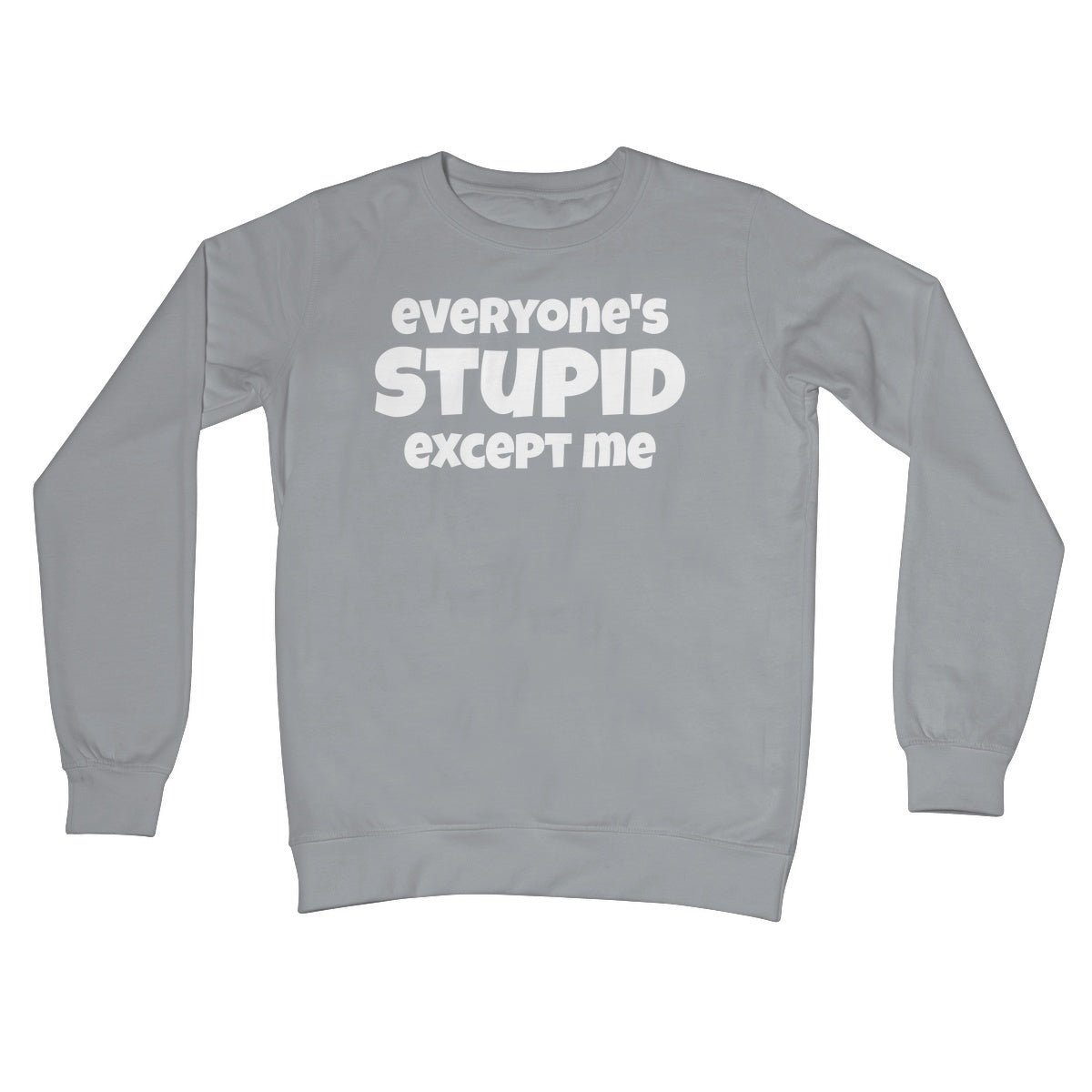 Everyone's Stupid Except Me Jumper - Steel Grey - Funny Jumper