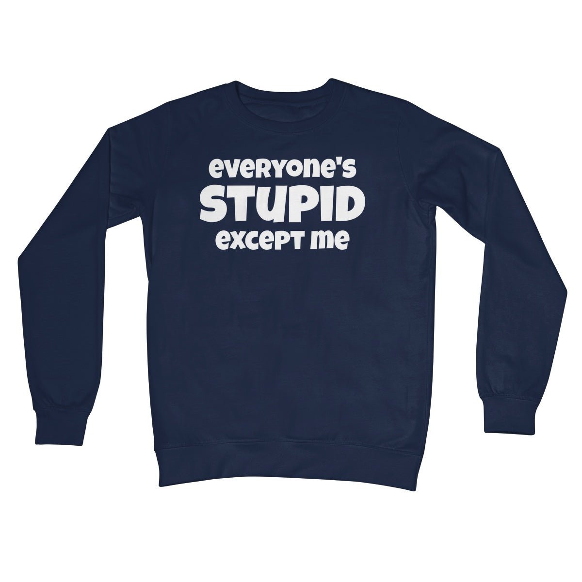 Everyone's Stupid Except Me Jumper - Oxford Navy - Funny Jumper